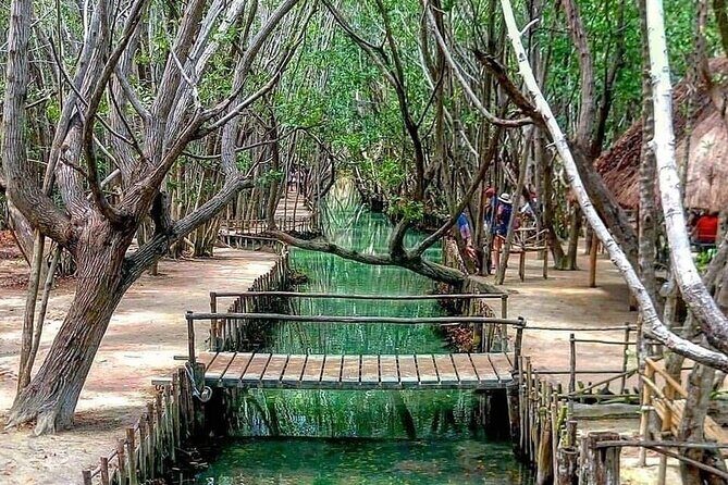 Progreso, Isla Columpios and El Corchito from Merida - Exploring the Itinerary in Detail