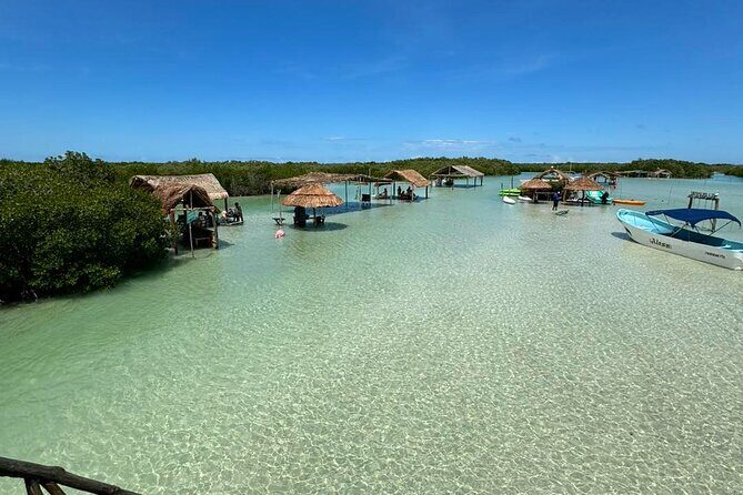 Progreso, Isla Columpios and El Corchito from Merida - Who Is This Tour Best For?