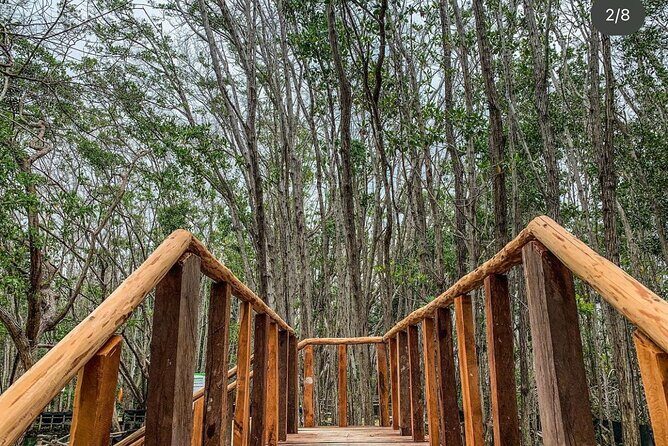 Progreso, Isla Columpios and El Corchito from Merida - FAQs About the Tour