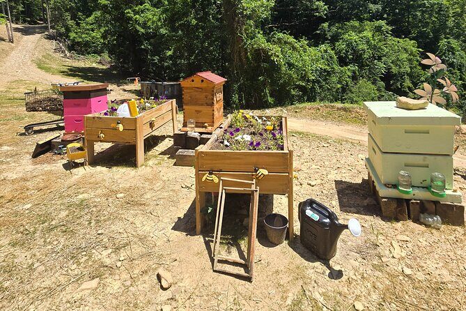 Promise Land Bee Farm Private Tour in Charleston - Key Points