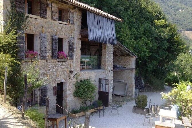 Prosecco experience. Wine tasting. Full day from Treviso - The Itinerary: What You Can Expect