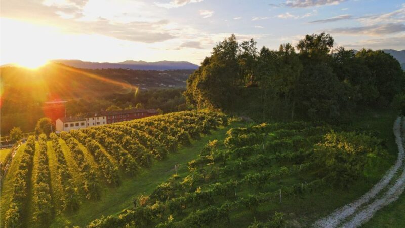 Prosecco Hills: Lovely Tasting Night - Practical Details & Tips