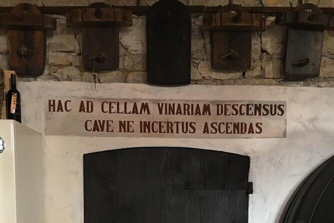 Prosecco hills wine and food tour from Venice and Treviso - The Itinerary: What to Expect