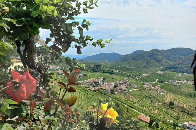 Prosecco hills wine and food tour from Venice and Treviso - What’s Not Perfect