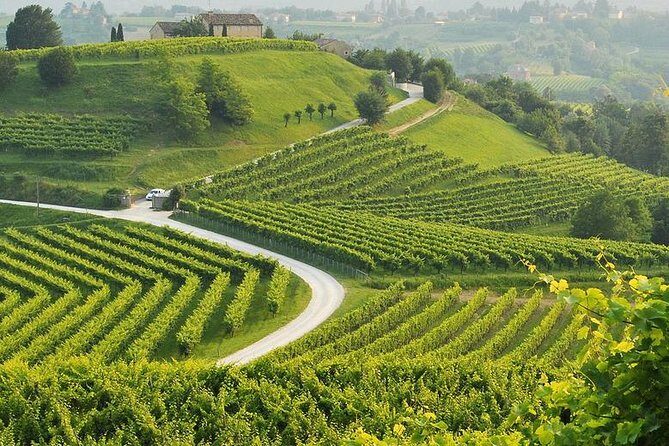 Prosecco Tour and Tasting from Venice - The Price: Is It Worth It?