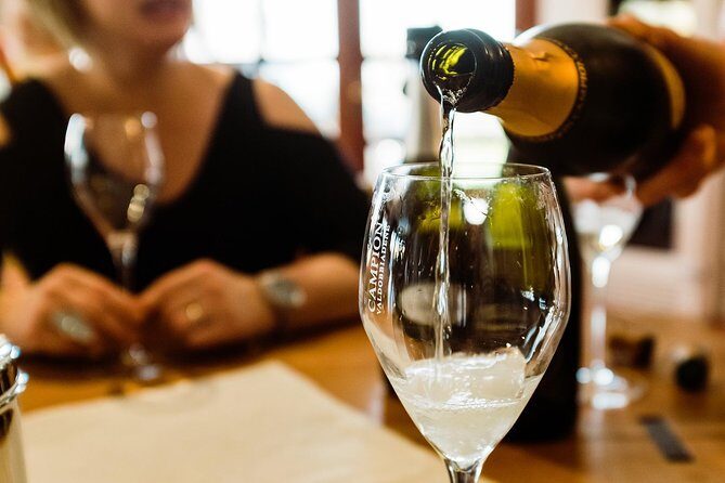 Prosecco Wine Tour (all-inclusive full day with lunch and expert wine guide) - An In-Depth Look at the Prosecco Tour