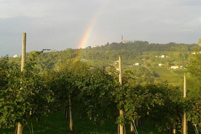 Prosecco Wine Tour. Full day from Venice - The Journey to Valdobbiadene