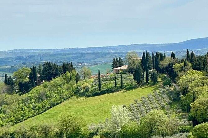 Prosecco Wine Tour. Full day from Venice - The Practical Details