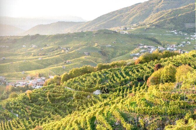 Prosecco - Wine tour & tasting - Full day in the Prosecco region - The Real Experience: What Do Travelers Say?