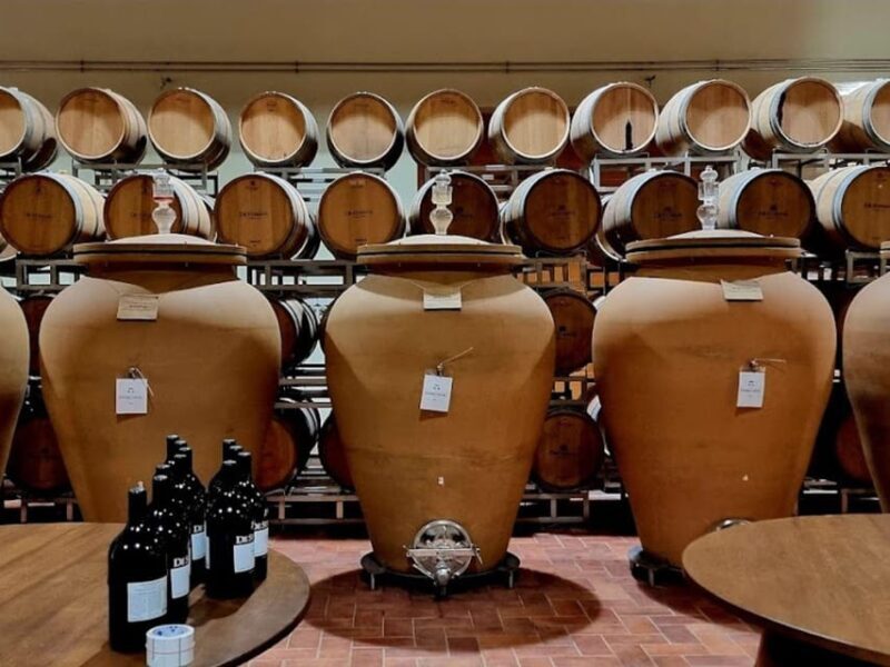 Prosecco Winery Tasting with Food Pairing near Venice - What You Can Expect from This Prosecco Tasting Experience