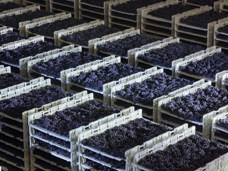 Prosecco Winery Tasting with Food Pairing near Venice - How the Tour Is Structured