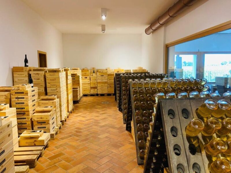 Prosecco Winery Tasting with Food Pairing near Venice - Final Thoughts