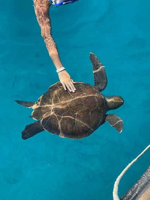 Protaras: Blue Lagoon and Turtles Pirate Cruise - Food, Drinks, and Additional Perks