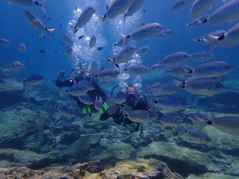 Protaras: Cape Grecko Single Dive for Qualified Divers - Exploring the Details of the Cape Grecko Dive Experience