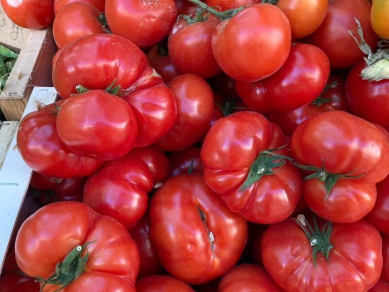 Provencal Market Walking Tour with Tastings - The Markets: Place Richelme and Place des Prêcheurs