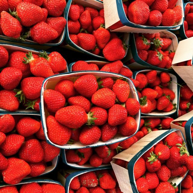 Provencal Market Walking Tour with Tastings - Who Would Enjoy This Tour?