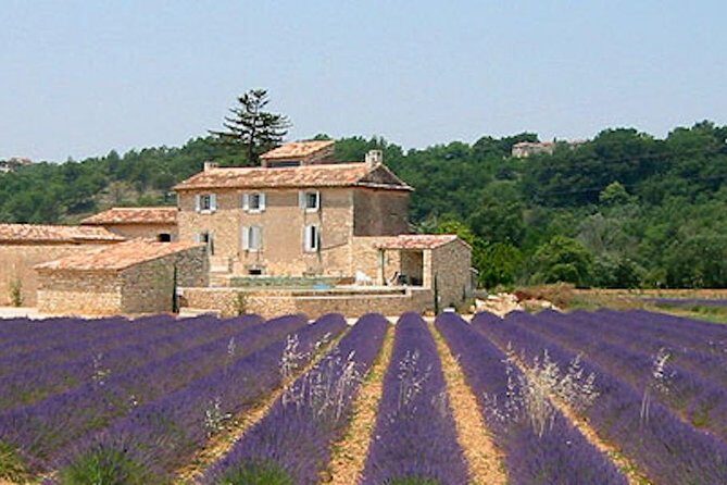 Provence and Lavender - private & Guided Full Day Tour - Key Points