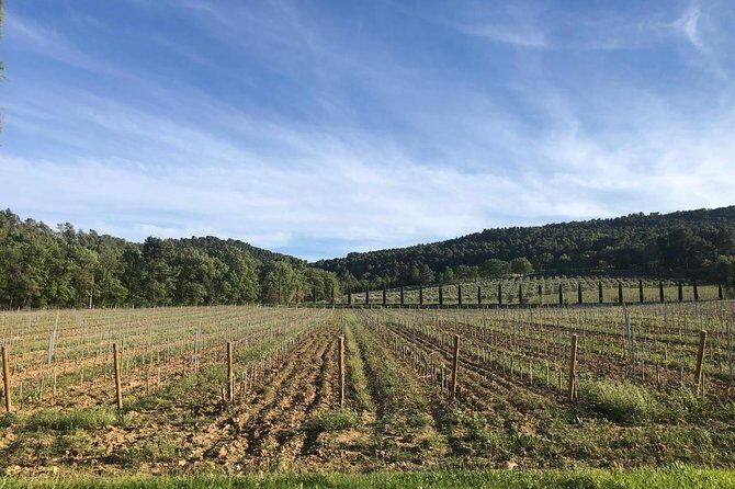 Provence at your own pace and at your leisure! - Final Thoughts