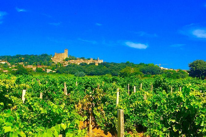 Provence Cru Wine Small-Group Half-Day Tour from Avignon - What’s Included and How It Works