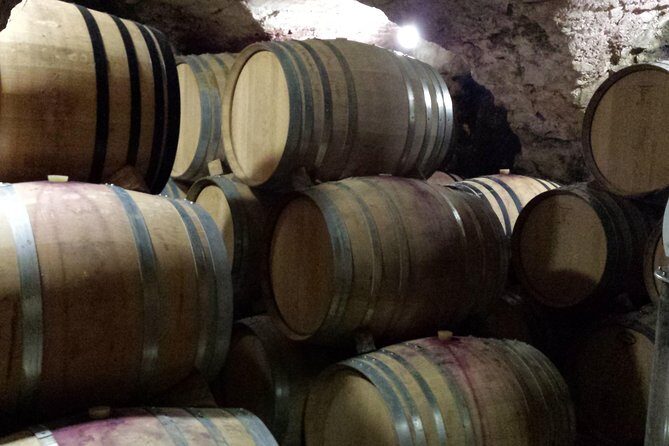 Provence Cru Wine Small-Group Half-Day Tour from Avignon - Who Is This Tour Best For?