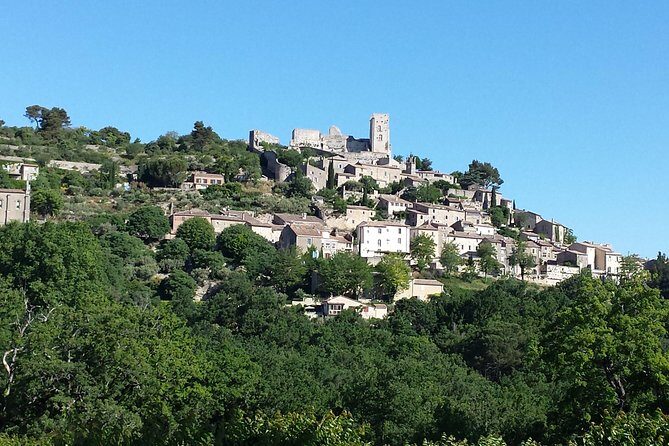 Provence Highlights Full-Day Tour from Avignon - Stop 6: Saint-Remy-de-Provence
