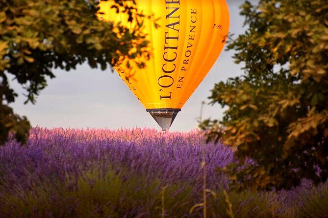 Provence Hot-Air Balloon Ride from Forcalquier - What the Experience Is Like