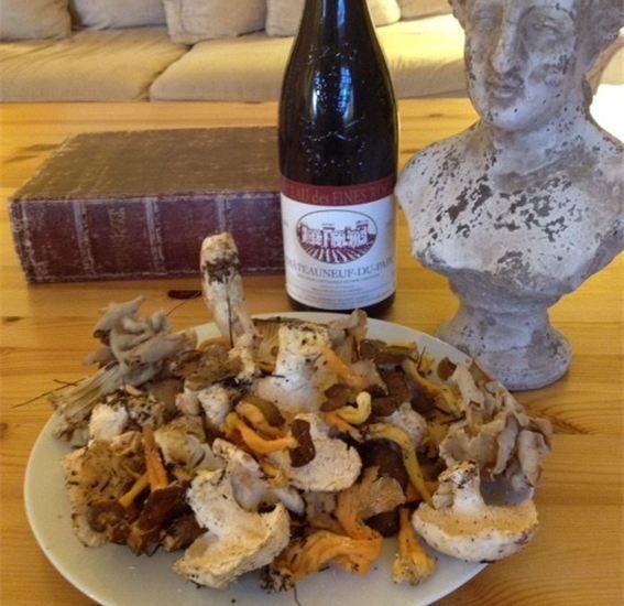 Provence: Mushroom Hunting with Outdoor Breakfast - What to Expect on Your Mushroom Hunting Adventure