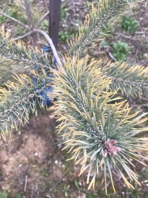 Provence: Mushroom Hunting with Outdoor Breakfast - Final Thoughts