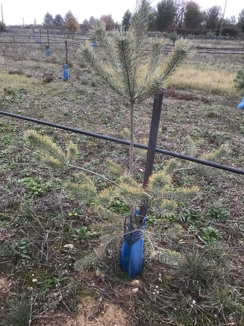 Provence: Mushroom Hunting with Outdoor Breakfast - FAQ