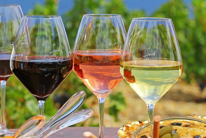 Provence Organic Wine Tasting Half Day Tour from Nice - Key Points