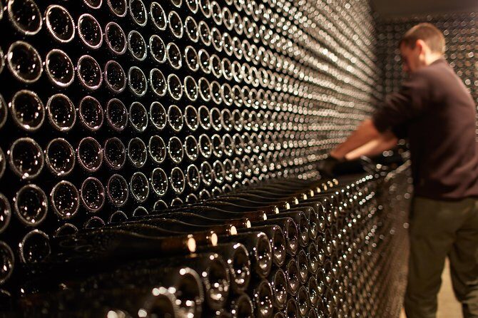 Provence Private Full Day Wine Tour with Wine Tasting - Wineries & Tastings