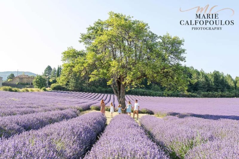 Provence: Private photoshoot by a professional photographer - What to Expect from Your Provence Photoshoot