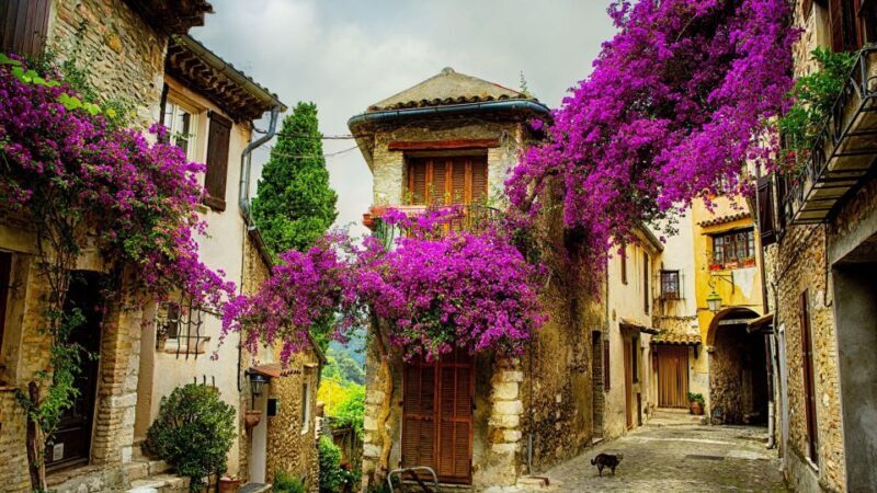 Provence private tour: Aix-en-Provence, (Marseille) & Cassis - Key Points