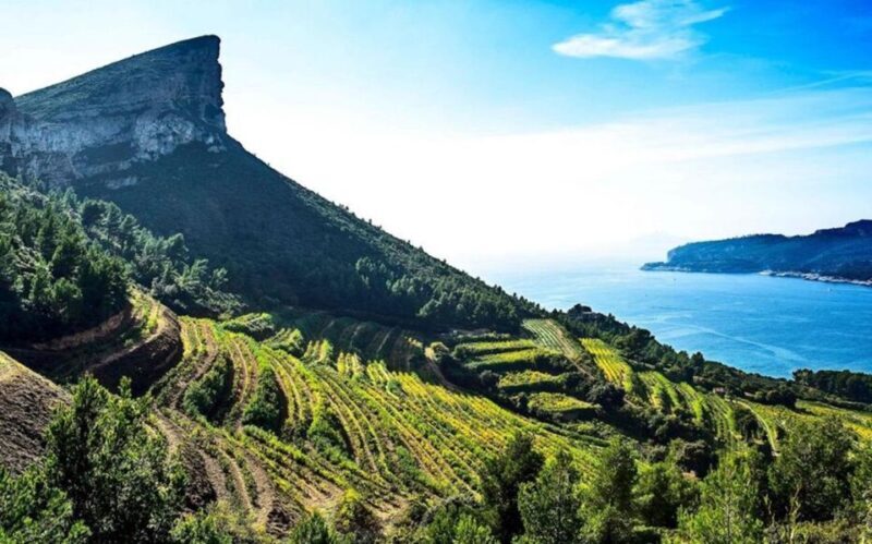 Provence private tour: Aix-en-Provence, (Marseille) & Cassis - Discovering Provence Through a Private Lens