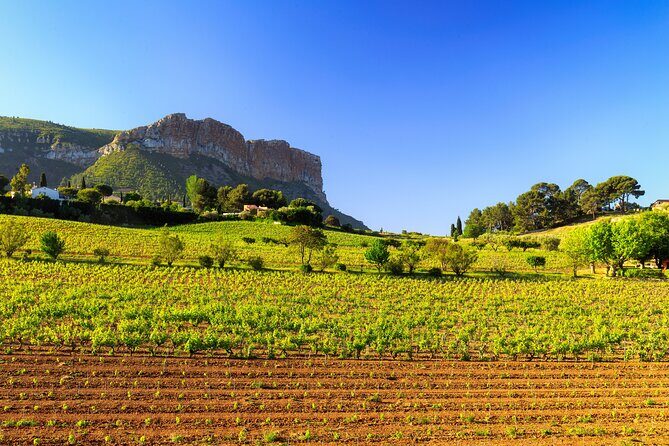 Provence Small Group Wine Full Day Tour in Chateauneuf du Pape vineyard from Aix - Final Thoughts