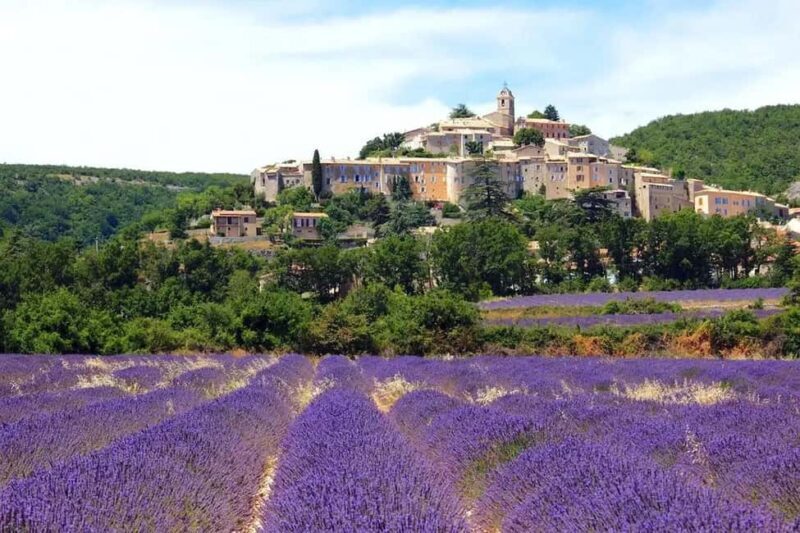 Provence: Valensole Lavender Fields Guided Full-Day Tour - An Honest Look at the Provence Lavender Experience