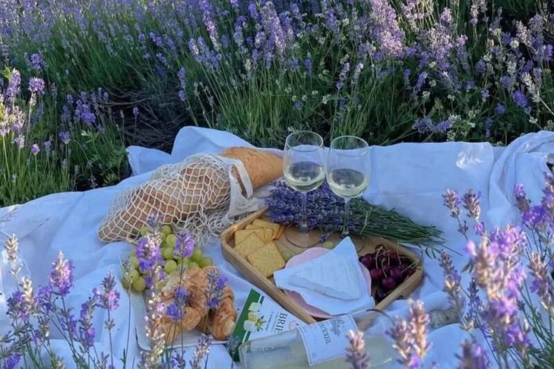 Provence: Valensole Lavender Fields Guided Full-Day Tour - The Sum Up
