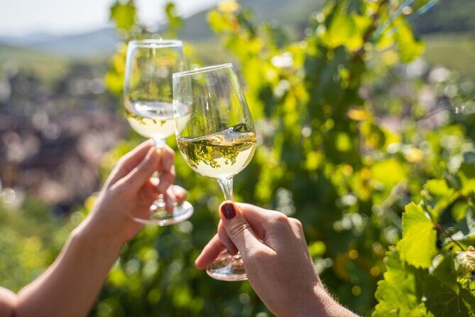 Provence, Vineyards and Lavender Fields Private Day Trip - What’s Included and What’s Not