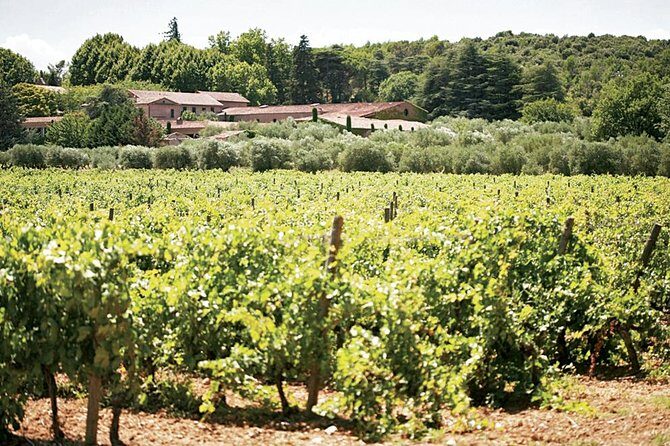provence wine tasting - FAQ