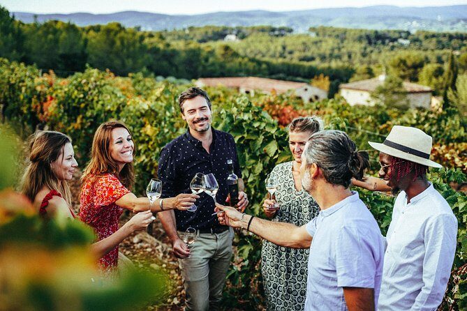 Provence Wine Tour - Private Day Tour from Nice - What the Tour Looks Like: A Step-by-Step Breakdown