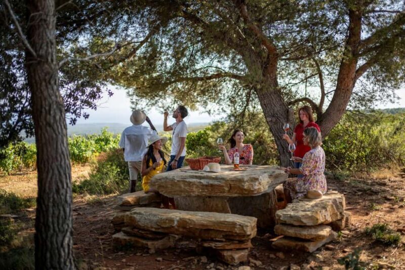 Provence Wine Tour - Private Tour from Nice - An In-Depth Look at the Provence Wine Tour