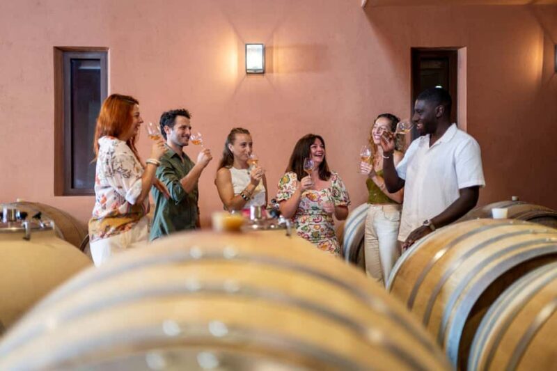 Provence Wine Tour - Private Tour from Nice - Is This Tour Worth the Price?