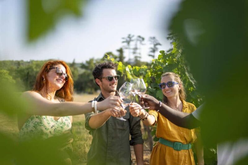 Provence Wine Tour - Small Group Tour from Cannes - Practical Considerations