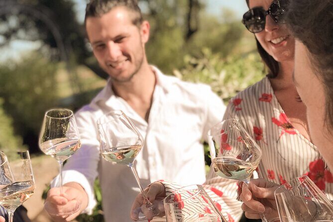Provence Wine Tour - Small Group Tour from Cannes - Who Should Consider This Tour?