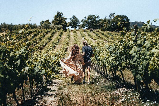 Provence Wine Tour - Small Group Tour from Nice - The Vibe and Atmosphere