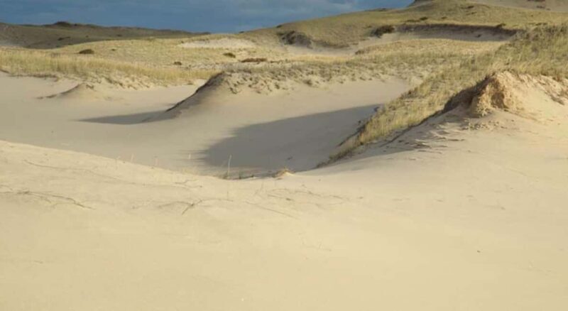 Provincetown: Cape Cod National Seashore Park Dune Tour - An In-Depth Look at the Provincetown Dune Tour