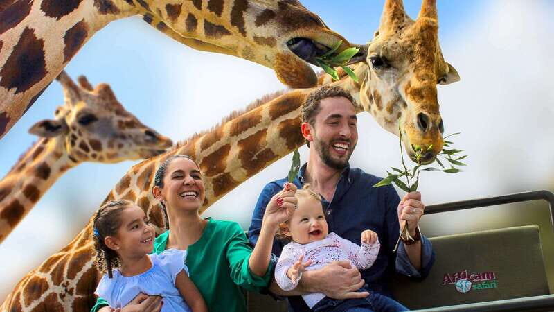 Puebla Africam Safari Park, Live an Unforgettable Adventure! - What to Expect from Puebla’s Africam Safari