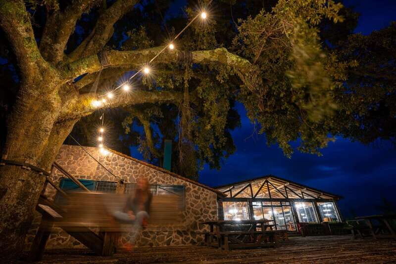 Puebla: Alpinia Mountain and Nature Park - Key Points