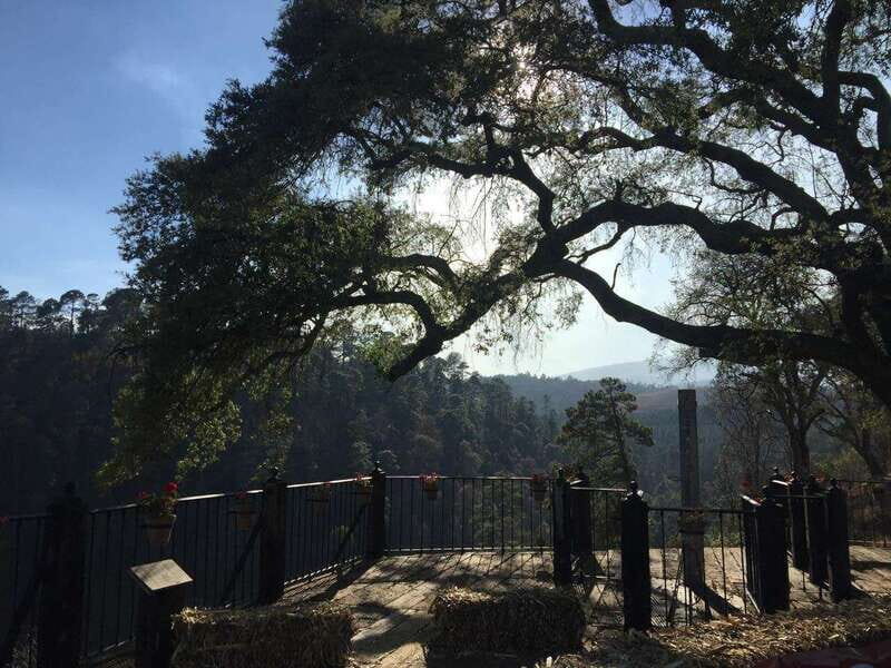 Puebla: Alpinia Mountain and Nature Park - The Overall Experience and Practical Details