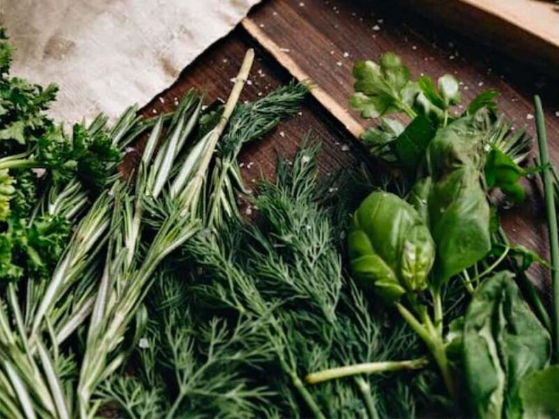 Puebla: Ancestral Aztec Temazcal steam bath ceremony - The Ritual: What to Expect